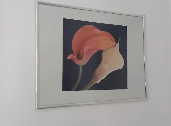 Apartment Neubau Mit Terasse, Privater Eingang,parkplatz,kueche