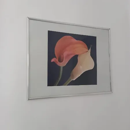 Apartment Neubau Mit Terasse, Privater Eingang,parkplatz,kueche